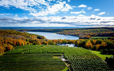 Connecticut Patio Ideas for Cold Weather Comfort